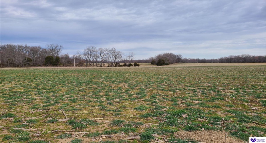 Oak Grove Church Road, Smiths Grove, Kentucky 42171, ,For Sale,Oak Grove Church Road,HK23002288 Oak Grove Church Road, Smiths Grove, Kentucky 42171, ,For Sale,Oak Grove Church Road,HK23002288