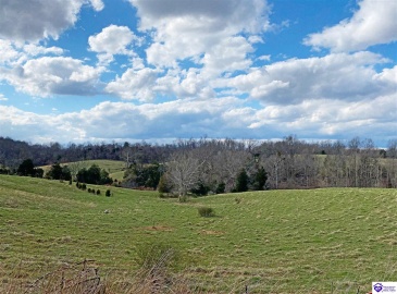 Garnett Road, Campbellsville, Kentucky 42718, ,For Sale,Garnett Road,HK23002721