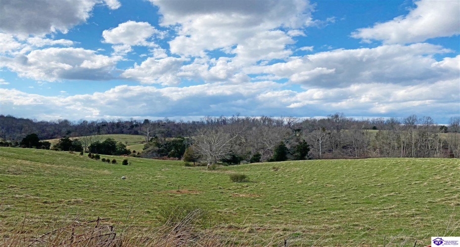 Garnett Road, Campbellsville, Kentucky 42718, ,For Sale,Garnett Road,HK23002721