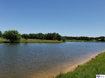 Easy Street, Falls Of Rough, Kentucky 40119, ,For Sale,Easy Street,HK23002787