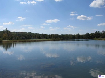 Easy Street, Falls Of Rough, Kentucky 40119, ,For Sale,Easy Street,HK23002787