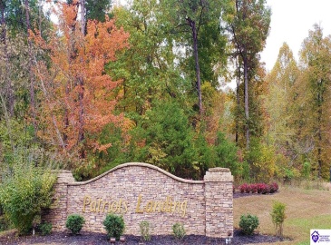 Easy Street, Falls Of Rough, Kentucky 40119, ,For Sale,Easy Street,HK23002787