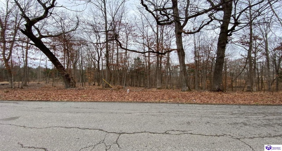 Christian Church Road, Brandenburg, Kentucky 40108, ,For Sale,Christian Church Road,HK23000117