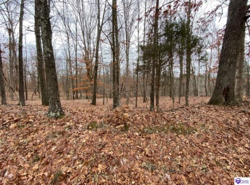 Christian Church Road, Brandenburg, Kentucky 40108, ,For Sale,Christian Church Road,HK23000118