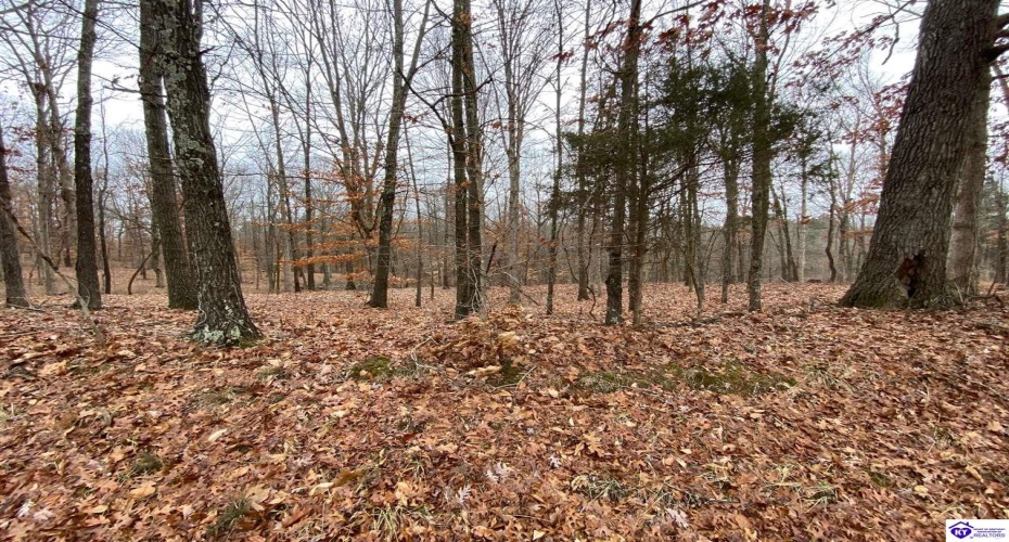 Christian Church Road, Brandenburg, Kentucky 40108, ,For Sale,Christian Church Road,HK23000118