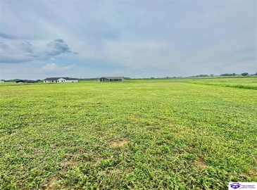 Clyde Road, Campbellsville, Kentucky 42718, ,2 BathroomsBathrooms,For Sale,Clyde Road,HK24000964