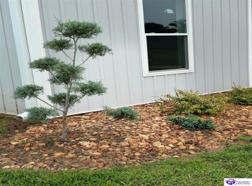 Clyde Road, Campbellsville, Kentucky 42718, ,2 BathroomsBathrooms,For Sale,Clyde Road,HK24000964