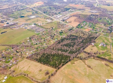 Shepherdsville Road, Elizabethtown, Kentucky 42701, ,For Sale,Shepherdsville Road,HK10060428