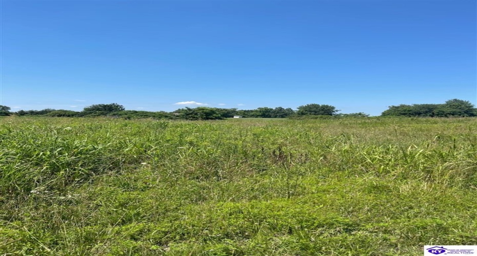 Highway 60, Ekron, Kentucky 40117, ,For Sale,Highway 60,HK24001095