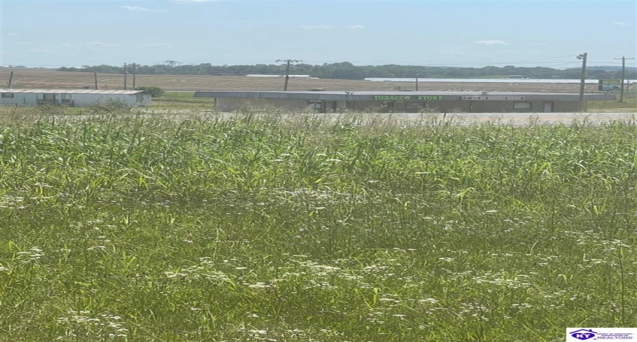 Highway 60, Ekron, Kentucky 40117, ,For Sale,Highway 60,HK24001095