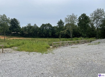 Owensboro Road, Leitchfield, Kentucky 42754, ,For Sale,Owensboro Road,HK24001121