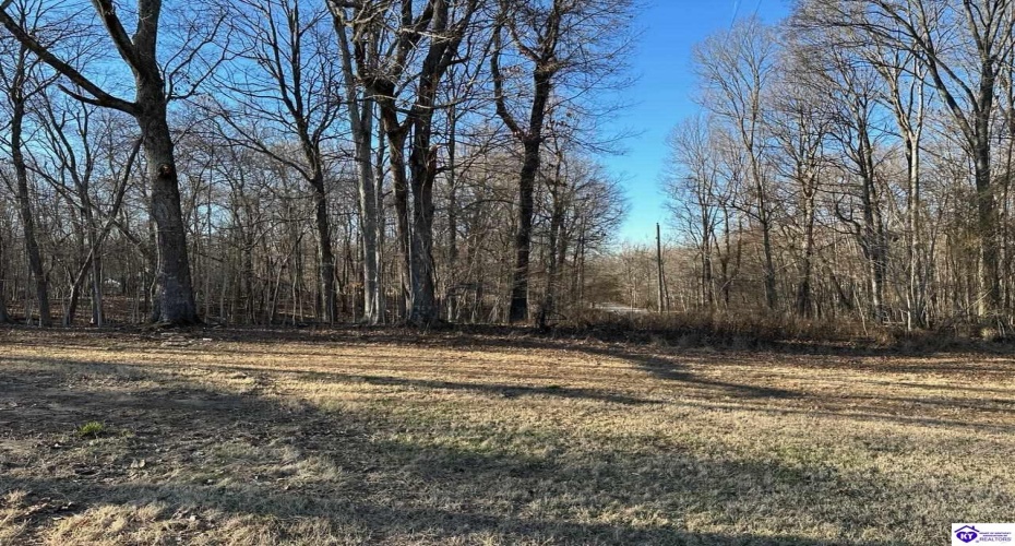 Rogersville Road, Radcliff, Kentucky 40160, ,4 BathroomsBathrooms,For Sale,Rogersville Road,HK24000420