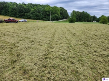 Hardinsburg Road, Cecilia, Kentucky 42724, ,For Sale,Hardinsburg Road,HK24001315