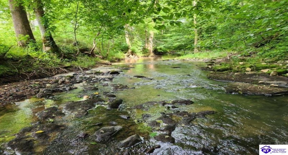 Hardinsburg Road, Cecilia, Kentucky 42724, ,For Sale,Hardinsburg Road,HK24001315