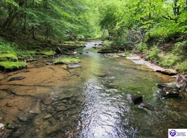 Hardinsburg Road, Cecilia, Kentucky 42724, ,For Sale,Hardinsburg Road,HK24001315