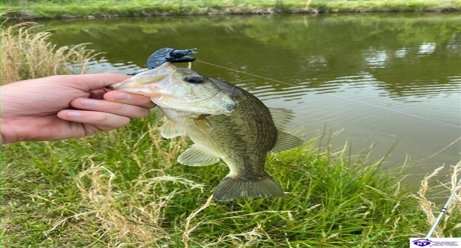 Highway 1870, Russell Springs, Kentucky 42642, ,2 BathroomsBathrooms,For Sale,Highway 1870,HK24001378