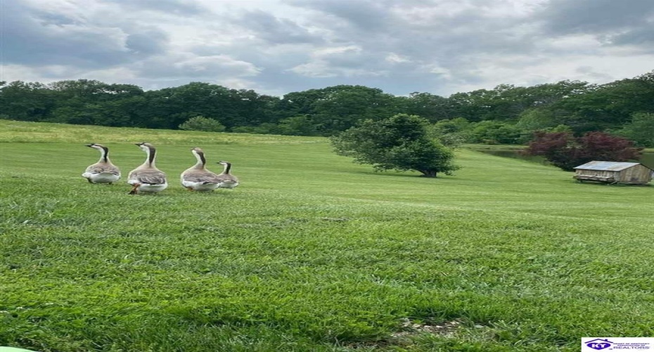 Highway 1870, Russell Springs, Kentucky 42642, ,2 BathroomsBathrooms,For Sale,Highway 1870,HK24001378