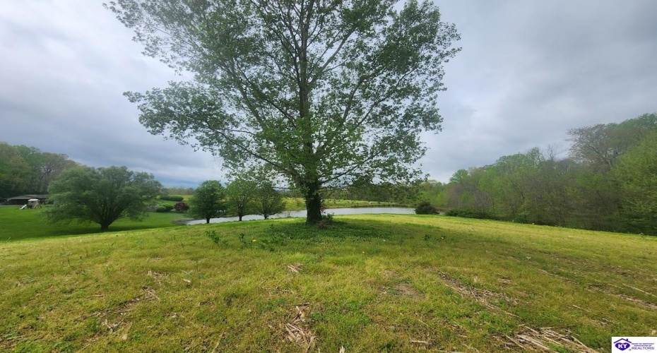 Highway 1870, Russell Springs, Kentucky 42642, ,2 BathroomsBathrooms,For Sale,Highway 1870,HK24001378