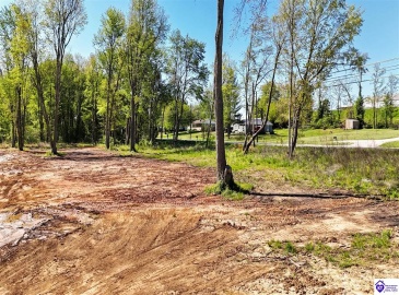 Hodgenville Road, Elizabethtown, Kentucky 42701, ,For Sale,Hodgenville Road,HK24001439