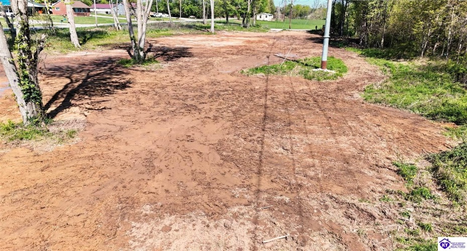 Hodgenville Road, Elizabethtown, Kentucky 42701, ,For Sale,Hodgenville Road,HK24001439