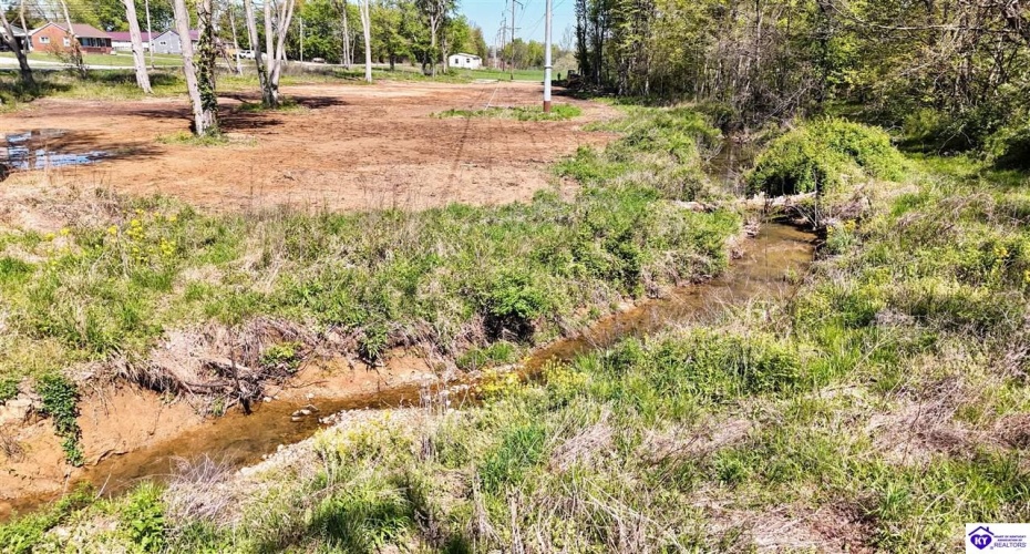 Hodgenville Road, Elizabethtown, Kentucky 42701, ,For Sale,Hodgenville Road,HK24001439