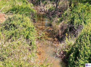 Hodgenville Road, Elizabethtown, Kentucky 42701, ,For Sale,Hodgenville Road,HK24001439