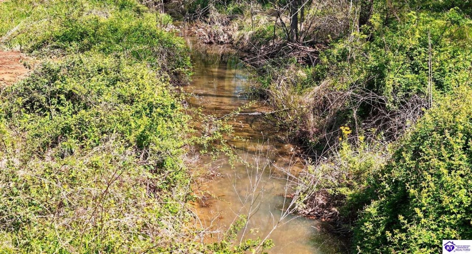 Hodgenville Road, Elizabethtown, Kentucky 42701, ,For Sale,Hodgenville Road,HK24001439