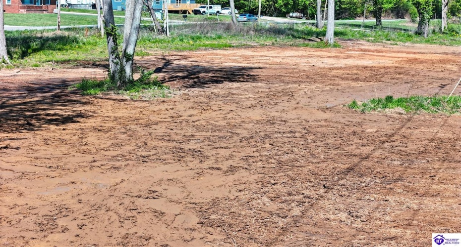 Hodgenville Road, Elizabethtown, Kentucky 42701, ,For Sale,Hodgenville Road,HK24001439