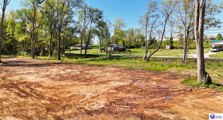 Hodgenville Road, Elizabethtown, Kentucky 42701, ,For Sale,Hodgenville Road,HK24001439