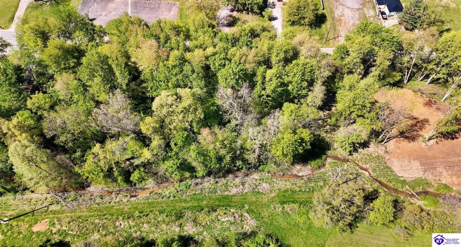 Hodgenville Road, Elizabethtown, Kentucky 42701, ,For Sale,Hodgenville Road,HK24001439