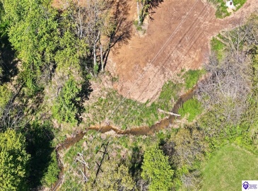 Hodgenville Road, Elizabethtown, Kentucky 42701, ,For Sale,Hodgenville Road,HK24001439