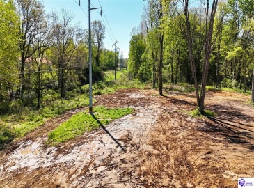 Hodgenville Road, Elizabethtown, Kentucky 42701, ,For Sale,Hodgenville Road,HK24001439