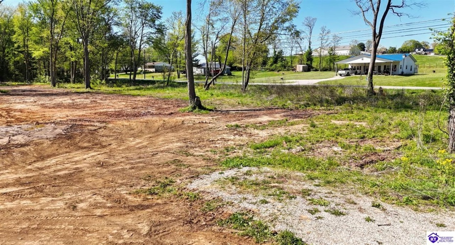 Hodgenville Road, Elizabethtown, Kentucky 42701, ,For Sale,Hodgenville Road,HK24001439