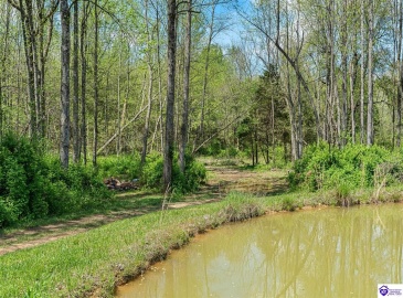 Middle Creek Road, Elizabethtown, Kentucky 42701, ,3 BathroomsBathrooms,For Sale,Middle Creek Road,HK24001465