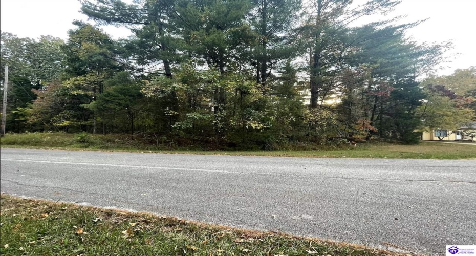 Tanager Road, Brandenburg, Kentucky 40108, ,For Sale,Tanager Road,HK24001476