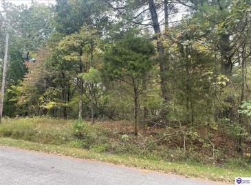 Tanager Road, Brandenburg, Kentucky 40108, ,For Sale,Tanager Road,HK24001476