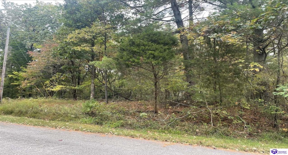 Tanager Road, Brandenburg, Kentucky 40108, ,For Sale,Tanager Road,HK24001476