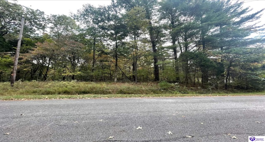 Tanager Road, Brandenburg, Kentucky 40108, ,For Sale,Tanager Road,HK24001476