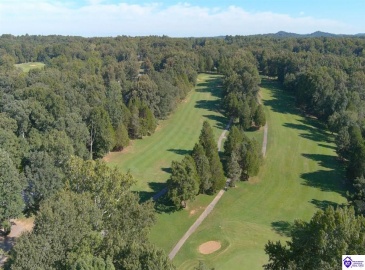 Tanager Road, Brandenburg, Kentucky 40108, ,For Sale,Tanager Road,HK24001476