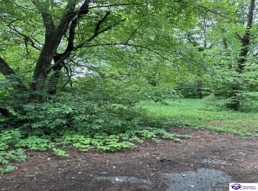 Wilmoth Street, Elizabethtown, Kentucky 42701, ,For Sale,Wilmoth Street,HK24001662