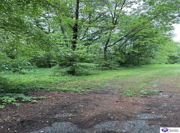 Wilmoth Street, Elizabethtown, Kentucky 42701, ,For Sale,Wilmoth Street,HK24001662