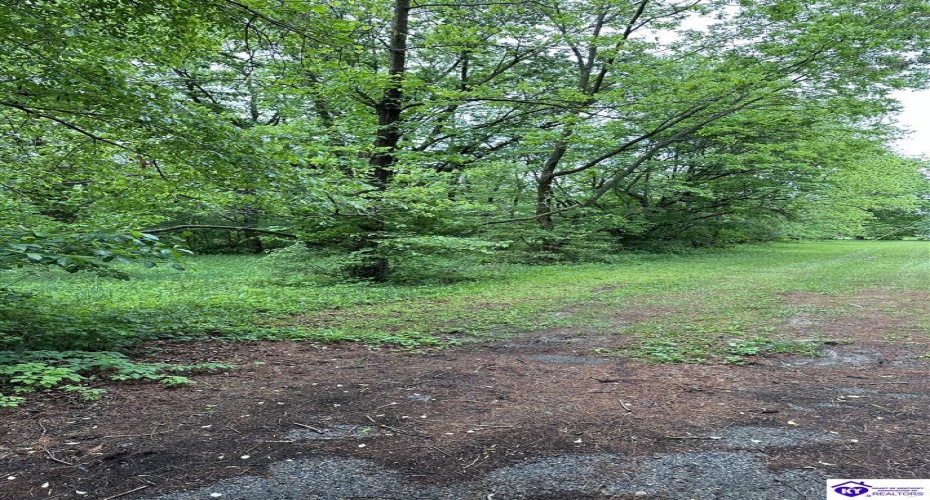 Wilmoth Street, Elizabethtown, Kentucky 42701, ,For Sale,Wilmoth Street,HK24001662