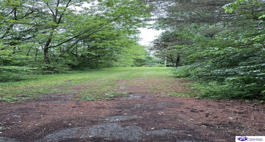 Wilmoth Street, Elizabethtown, Kentucky 42701, ,For Sale,Wilmoth Street,HK24001662