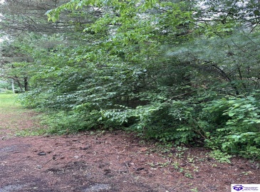 Wilmoth Street, Elizabethtown, Kentucky 42701, ,For Sale,Wilmoth Street,HK24001662