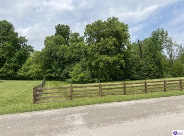 Overall Phillips Road, Elizabethtown, Kentucky 42701, ,For Sale,Overall Phillips Road,HK24001665