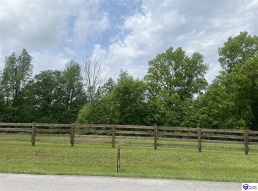 Overall Phillips Road, Elizabethtown, Kentucky 42701, ,For Sale,Overall Phillips Road,HK24001666