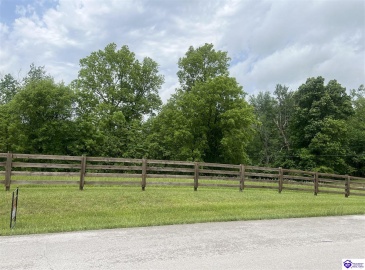Overall Phillips Road, Elizabethtown, Kentucky 42701, ,For Sale,Overall Phillips Road,HK24001666