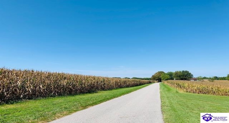 Capps Road, Campbellsville, Kentucky 42718-0000, ,For Sale,Capps Road,HK24001669