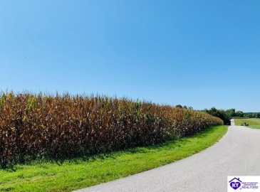 Capps Road, Campbellsville, Kentucky 42718-0000, ,For Sale,Capps Road,HK24001669