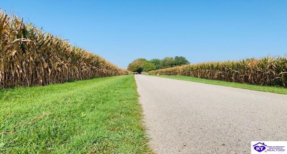 Capps Road, Campbellsville, Kentucky 42718-0000, ,For Sale,Capps Road,HK24001669